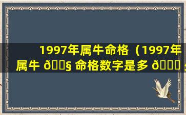 1997年属牛命格（1997年属牛 🐧 命格数字是多 🐛 少呢）